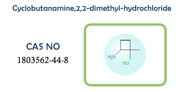 Cyclobutanamine,2,2-dimethyl-hydrochloride